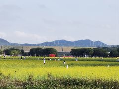 -光明小镇欢乐田园