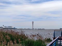 -上海吴淞炮台湾国家湿地公园