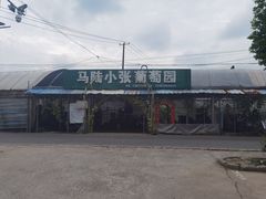 -马陆小张葡萄园农家乐