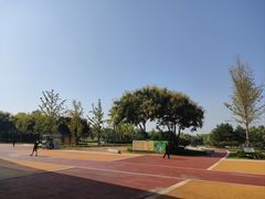 -西安浐灞国家湿地公园