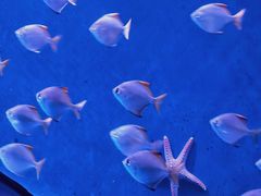 -沈阳海洋探索中心