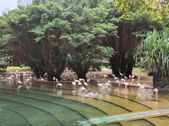 -香港皇家太平洋酒店