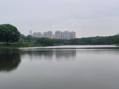 -东莞植物园