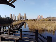 -前关湿地公园