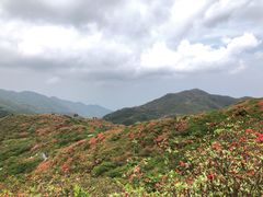 -大围山国家森林公园