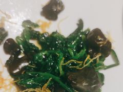 凉拌有机木耳-旺顺阁鱼头泡饼(常营店)
