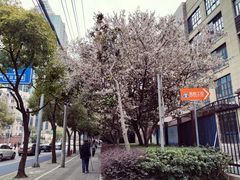 -上海对外经贸大学(古北校区)