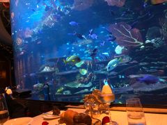 -迪拜帆船酒店海底餐厅