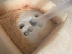 -百果园(郑东商业中心店)