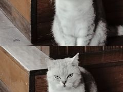 -不舍昼夜咖啡馆
