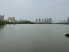 -月湖风景区