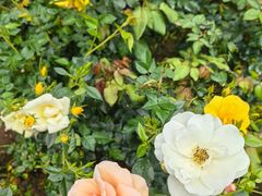 -人民公园(罗湖区)