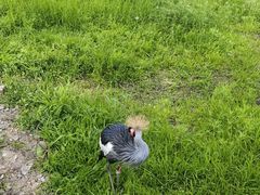 -哈尔滨北方森林动物园