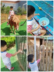 -萌宠亲子动物乐园(槐房万达店)