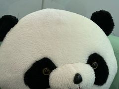 -眉州东坡·熊猫主题餐厅(枫蓝店)
