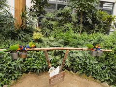 -南宫五洲植物乐园