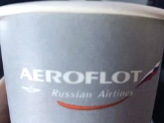 -谢列梅捷沃国际机场