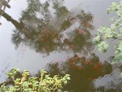 -兰剑驾校(汉阳校区)