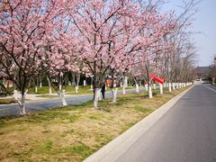 -周茉食品超市(北大街店)