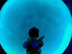 -天津梵高星空艺术馆(天河城旗舰店)