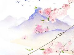 -贝尔机器人编程中心(罗宾森店)