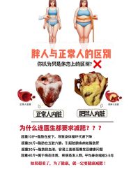 -Fundi张玉珊修身堂·indiba·BTL科技瘦身
