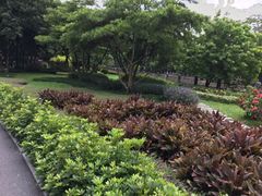-晓港公园