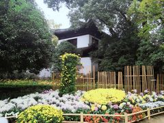-汇龙潭