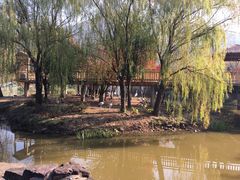 -无锡动物园·太湖欢乐园