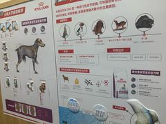 -瑞派宠物医院·24h·骨外科·皮肤科·全科宠物医疗转诊中心(沈阳浑南院)