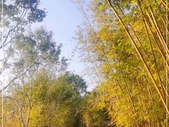 -水底山庄园温泉