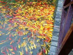 -武汉紫薇都市田园