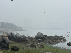 -黑石礁公园