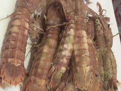 -山东八大碗山东老字号