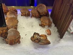 -九月海·海鲜自助(世纪东方店)