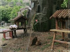 -宁波野生动物园