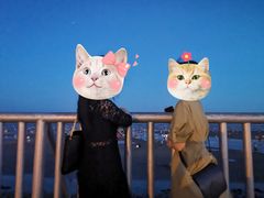 -碧海金沙