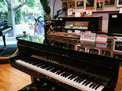 -柏斯琴行(汾阳店)