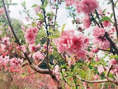 -乌山风景区