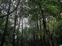 -广州市白云山风景名胜区