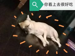 -辛香汇(飞洲店)