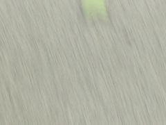 -味福记·本地特色菜(八一万达广场店)