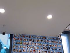 -老吴的猫·猫舍(新区店)