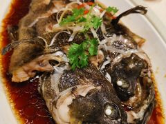 -双井轩(双井店)