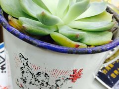 -做了不起的80后