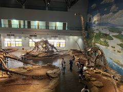 -自贡恐龙博物馆