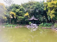 -深圳国际园林花卉博览园