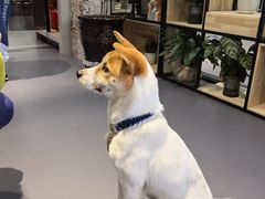 -顺兴老茶馆·精品川菜(世纪城店)