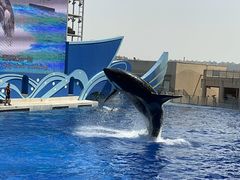 -上海海昌海洋公园