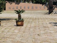 -鸿山遗址博物馆